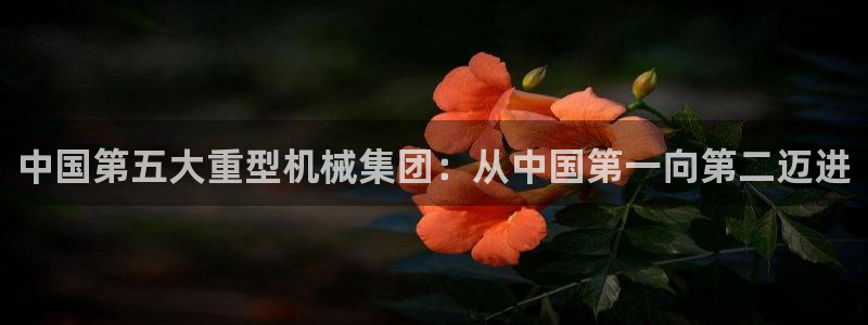 龙八国际优惠券有什么用