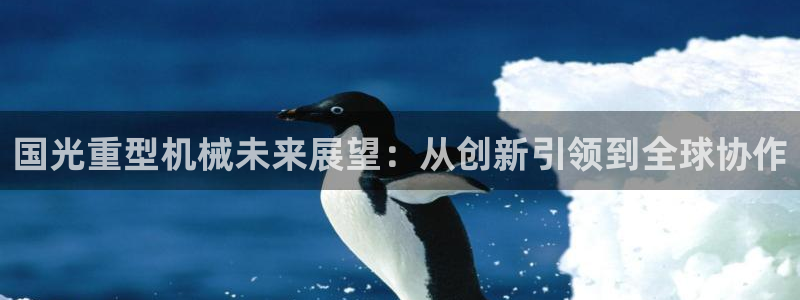 龙八国际88