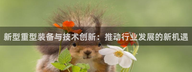 龙八国际app安卓