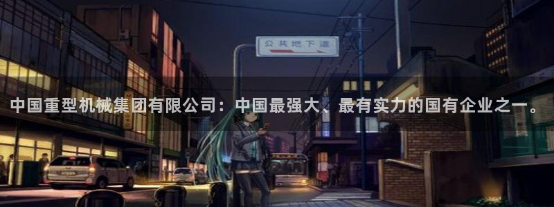 龙八国际是干什么的