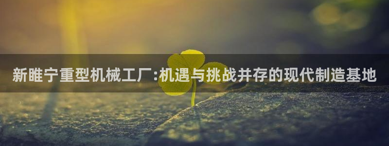 菲律宾的龙八国际