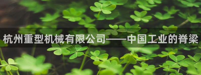 龙八国际娱乐官网