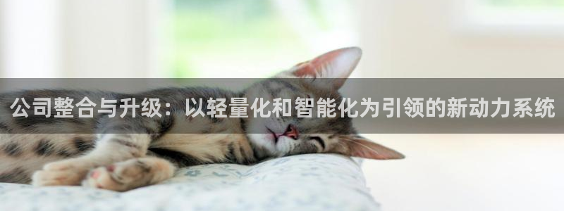 龙八国际娱乐群