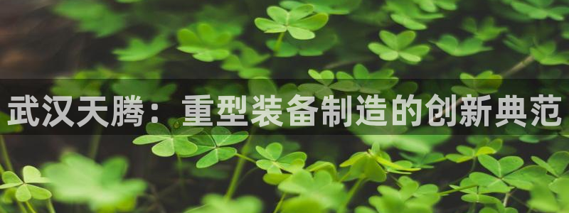 打开龙八国际