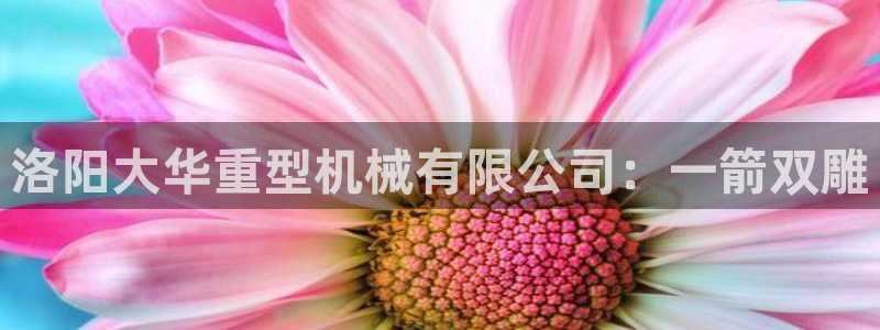 龙八国际zbzszx.com