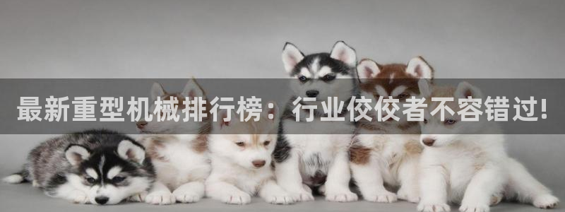 龙八国际服官网进入