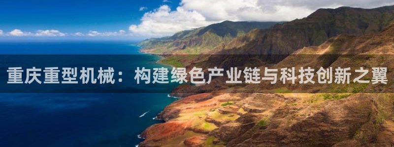 国际龙八国集团