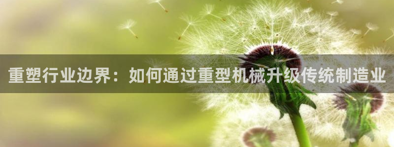 龙八国际入口