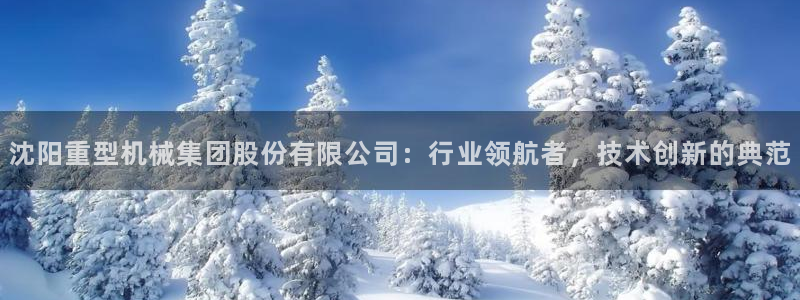 龙八国际pt