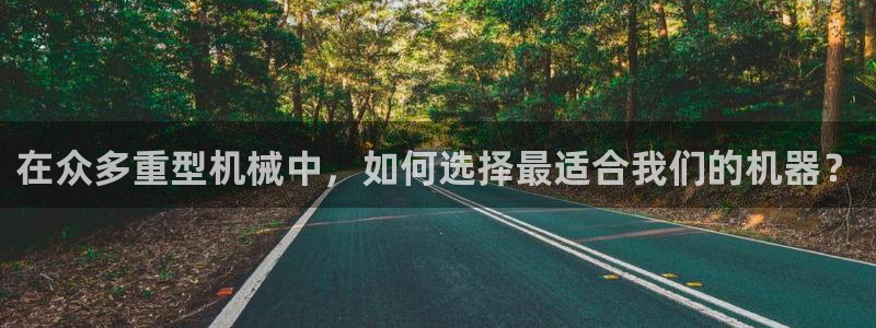 龙八国际在哪里啊