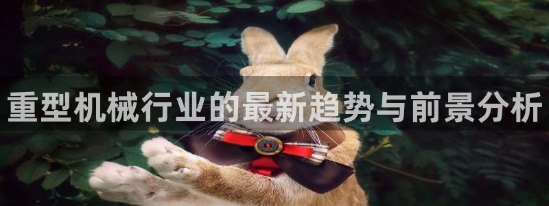 龙八国际娱乐靠谱吗