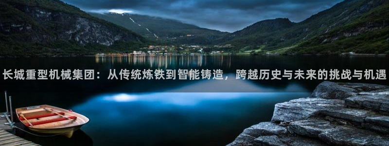 龙八国际集团