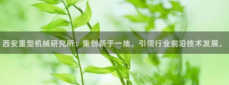 不会玩龙八国际