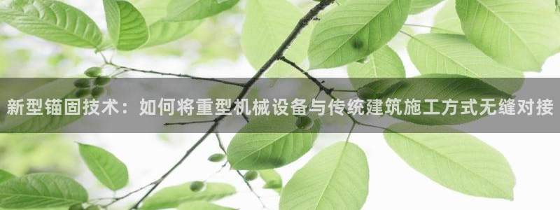 头号玩家龙八国际网址