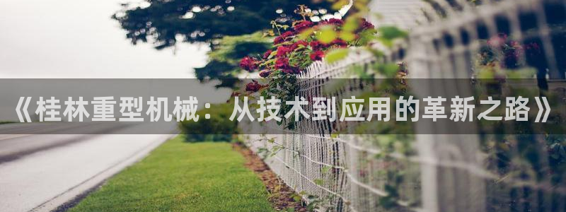 龙八国际赌博经验