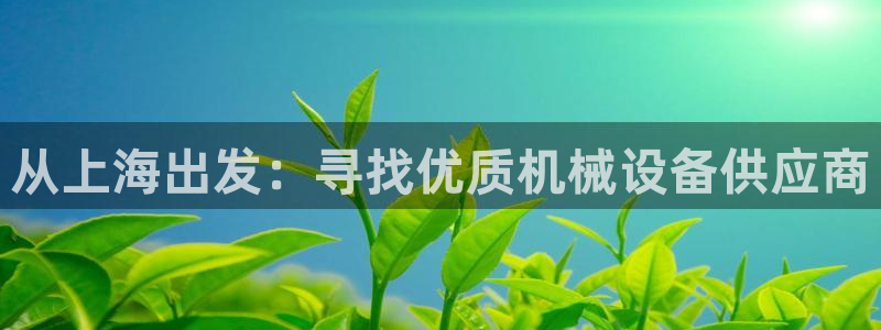 龙八国际娱乐群