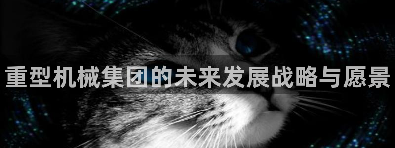 龙八国际最新版本下载