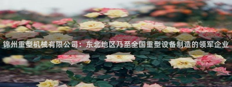 龙八国际黑钱