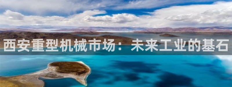 官网龙八国际