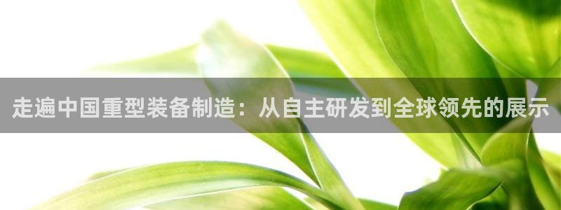 龙八国际输死人