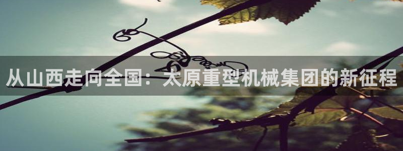 龙八国际手机版下载
