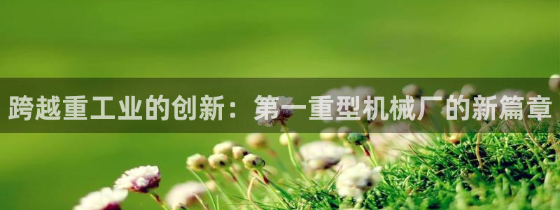 龙八国际游乐城