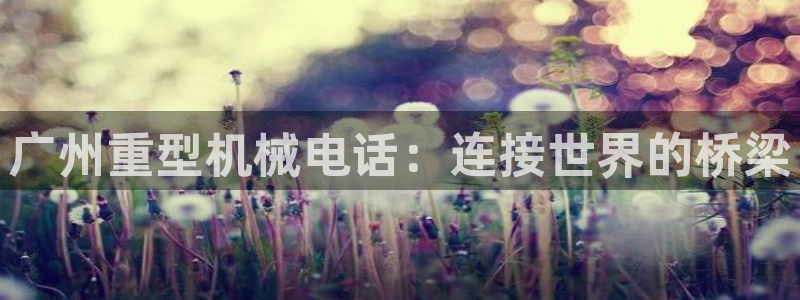 龙八国际老虎机