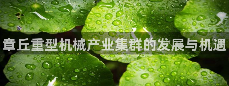 龙八国际平台yb48点top