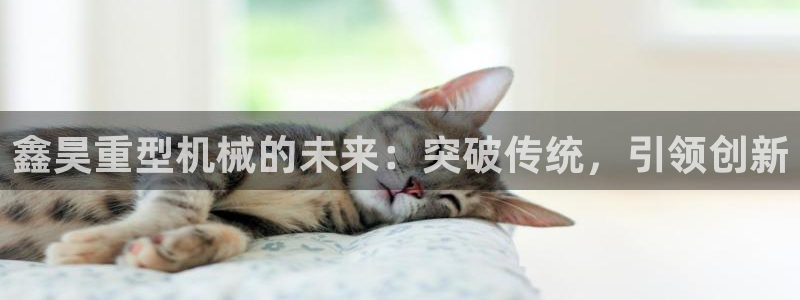 龙八国际手机端官网