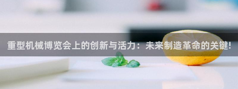不会玩龙八国际