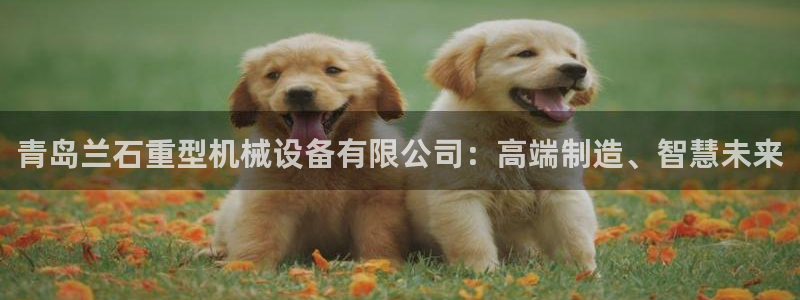 龙八国际注册f68点top