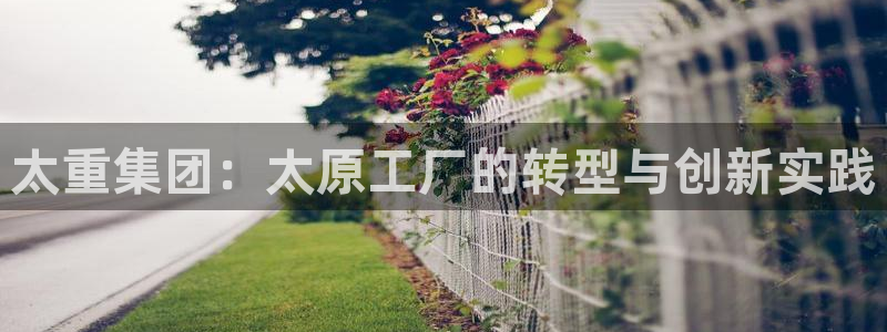 龙八国际娱乐平台网站