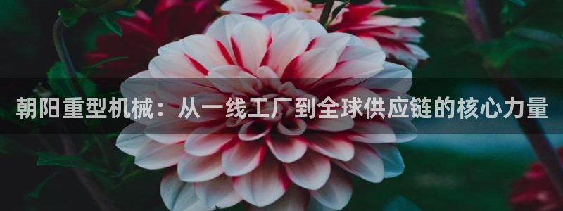 龙八国际娱乐网页多少