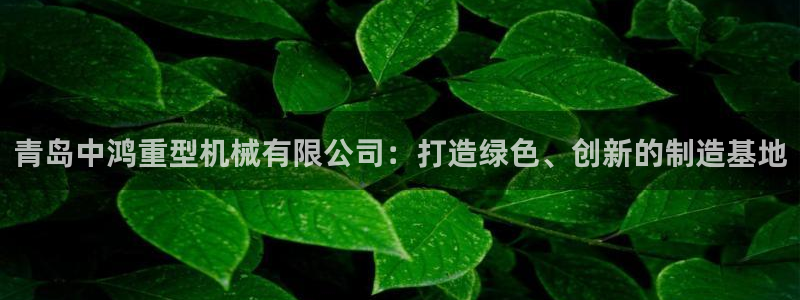 龙八国际城客运站电话