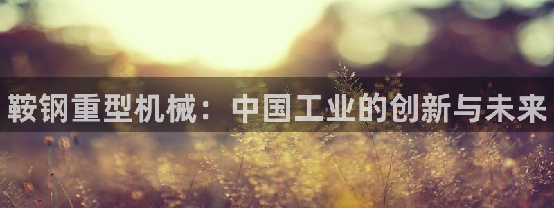 龙八国际娱乐网站多少