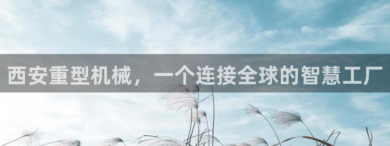 龙八国际pt娱乐