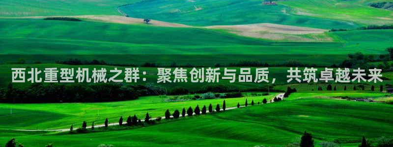 龙八国际官方下载