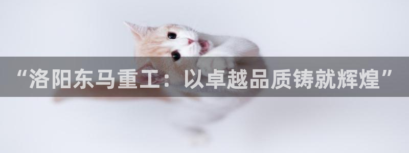 龙八国际兑换码