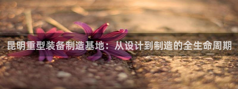 龙八国际服官方