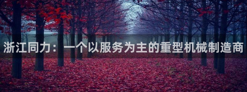 龙八国际是干什么的