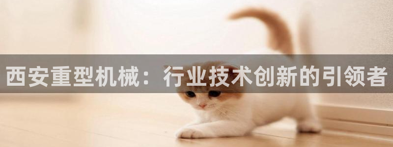 龙八国际优惠券