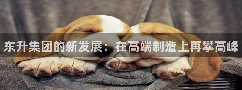 龙八国际手机版下载安装app