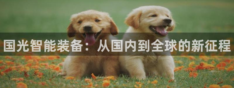 龙八国际娱乐下载