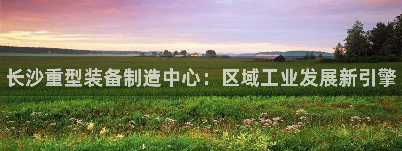 龙八国际黑吗