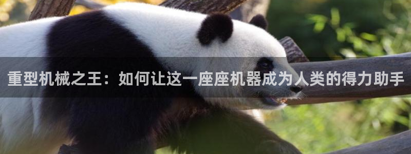 龙八国际赌场