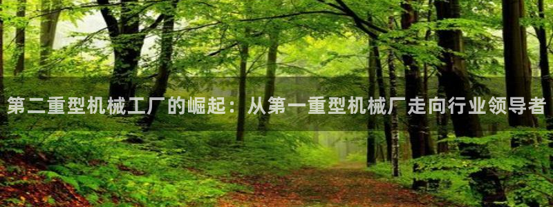 龙八国际娱乐官方网站