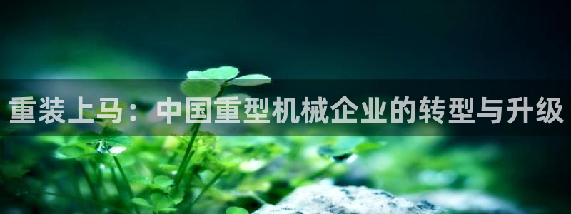 龙八国际网q18点tv