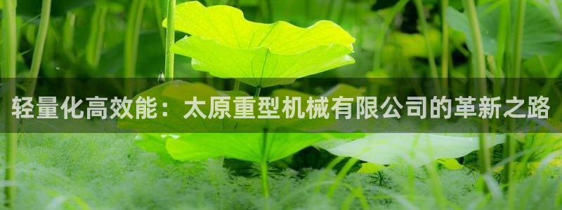 龙八国际游戏维护时间