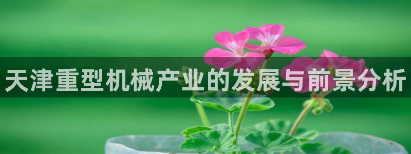 龙八国际贸易有限公司