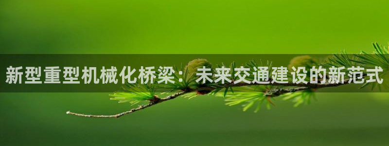 龙八国际APP客户